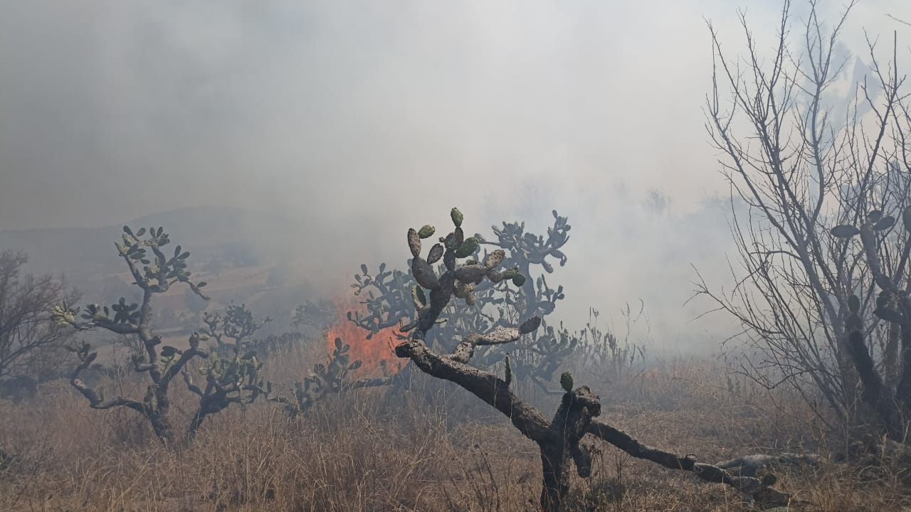Incendio sin lesionados en Sanabria