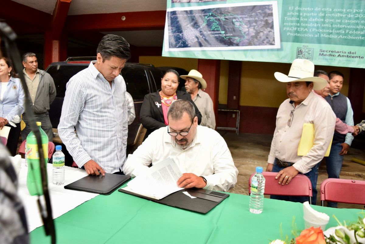 Gobierno de Michoacán prepara certificación ambiental para cultivo de aguacate