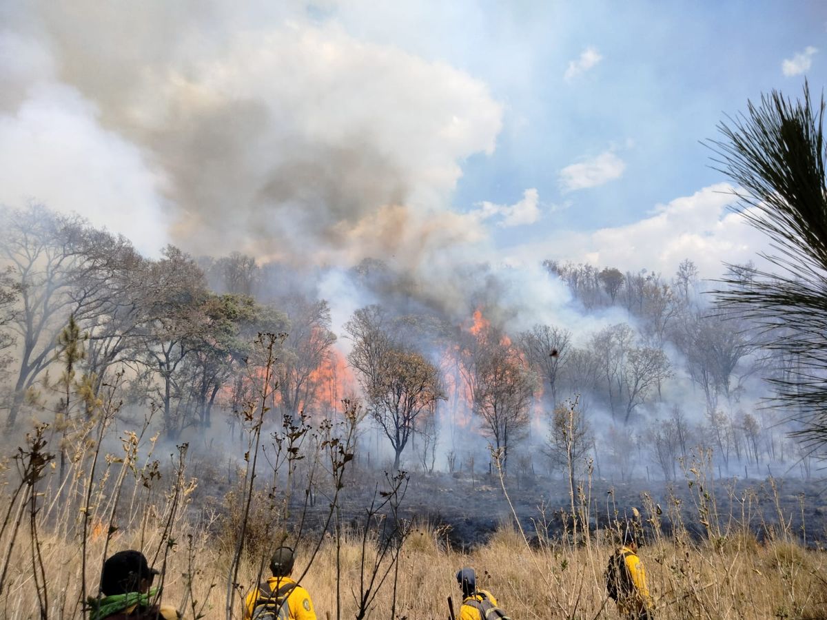 Combatiente de incendios forestales, una de las profesiones de alto riesgo