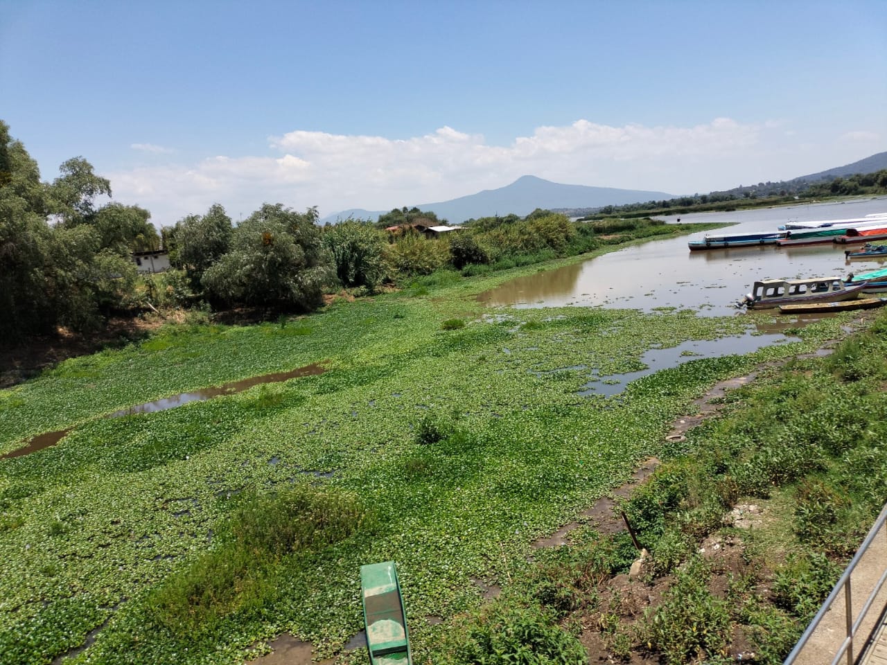 Agoniza el Lago de Pátzcuaro