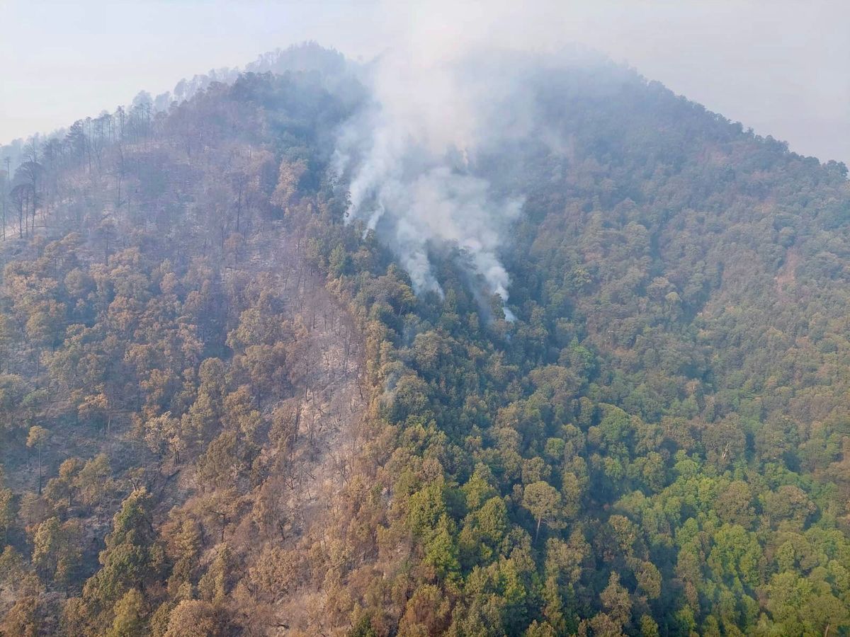 Más de 400 brigadistas combaten incendio forestal en cerro Grande