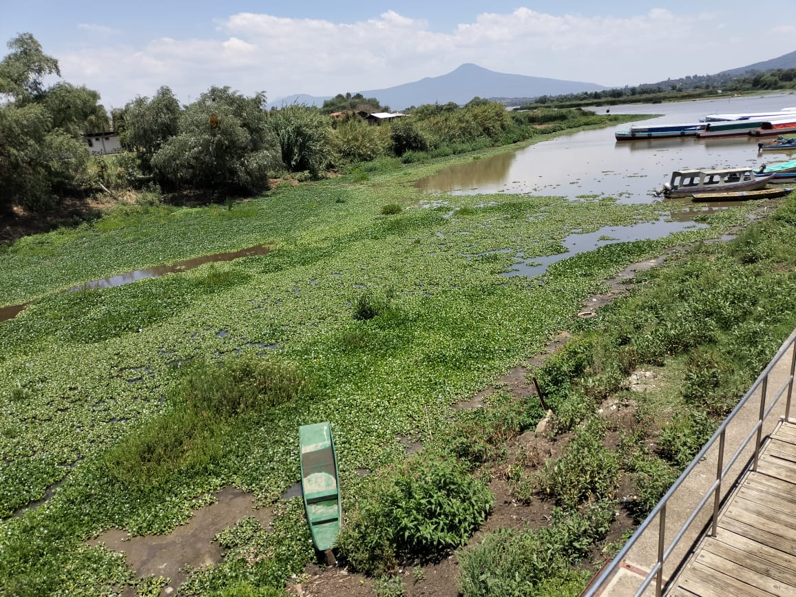 Anuncia Bedolla ampliación presupuestal para el rescate del Lago de Pátzcuaro