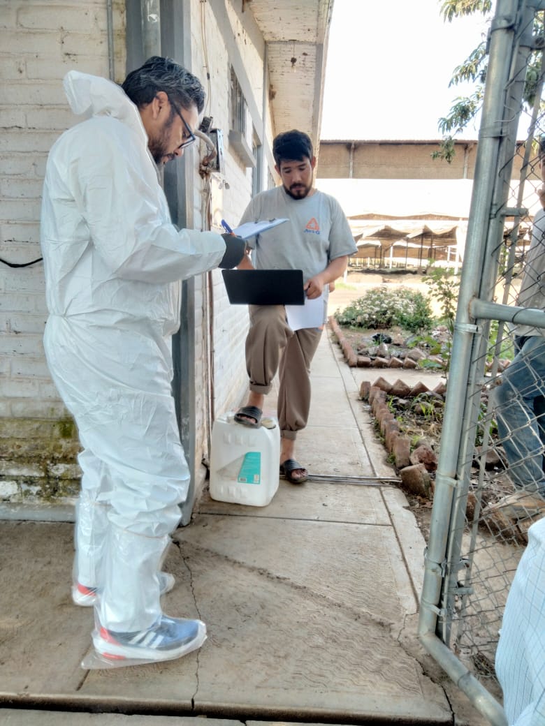 Michoacán, sin casos de influenza aviar: Sader