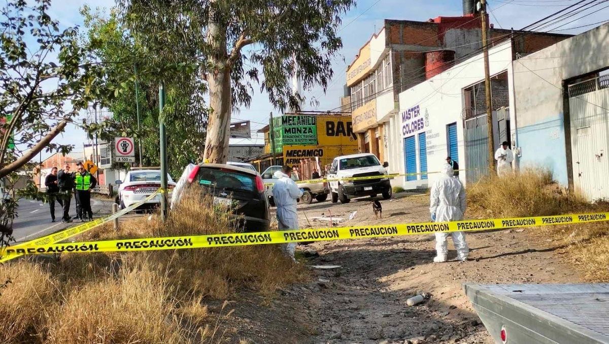 Pareja de adultos mayores fallecen al chocar su automotor contra un árbol