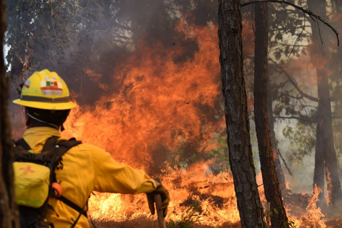 Crítico el panorama para Michoacán con los incendios forestales