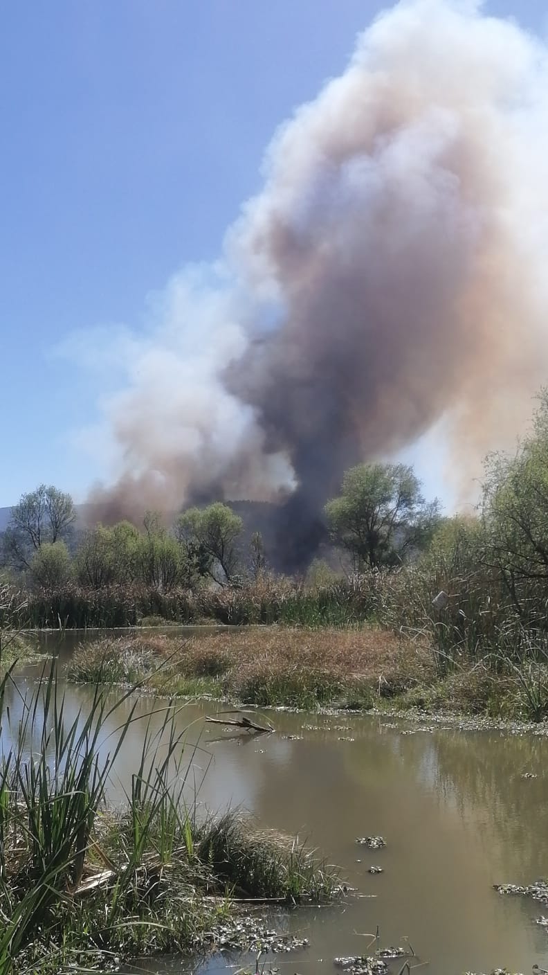 Incendio de chuspata alerta a la población