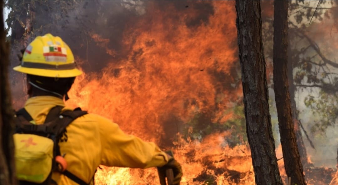 Evita incendios con quemas en predios