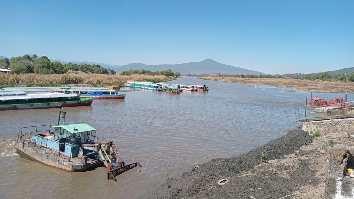 Compesca mantiene canales de navegación en el lago de Pátzcuaro