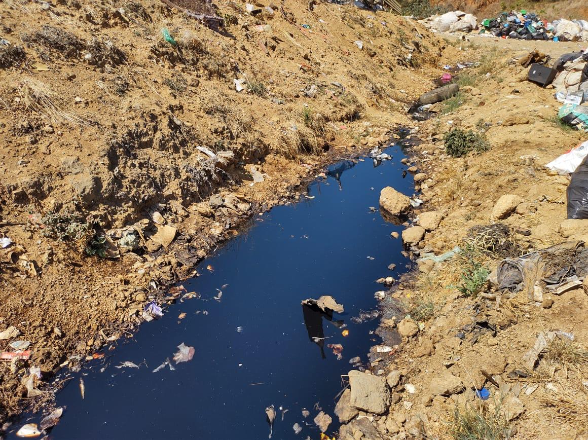 Alerta por crisis ambiental en Ziracuaretiro