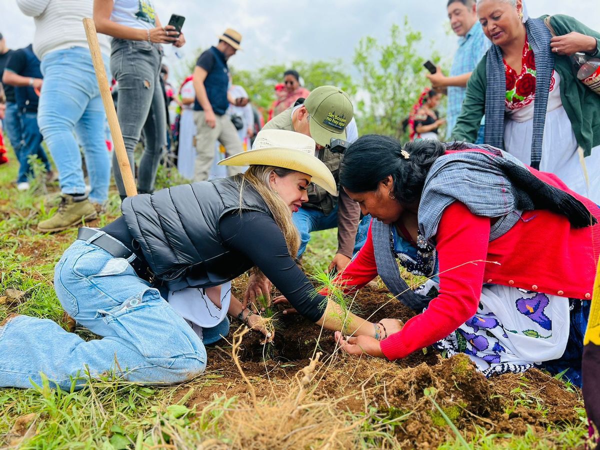 Samanta Flores Adame, presente y activa en la campaña de reforestación “Sin Bosques no hay Agua”