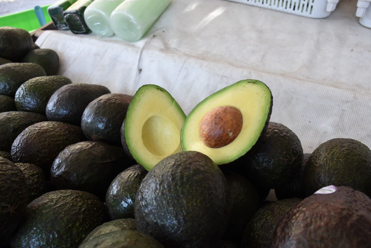 Michoacán produce el 75 % del aguacate mexicano