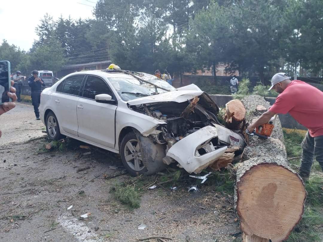 Árbol cae sobre un coche