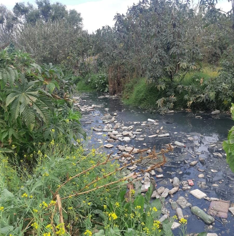 Rio Guani limpio, agua limpia al Lago de Pátzcuaro