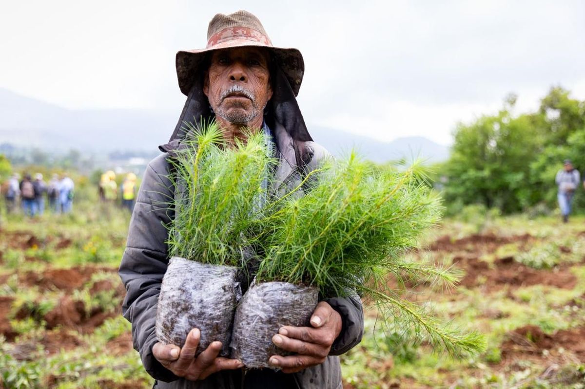 Se avanzó en la recuperación del lago de Pátzcuaro; se plantaron 1.8 millones de árboles: Bedolla