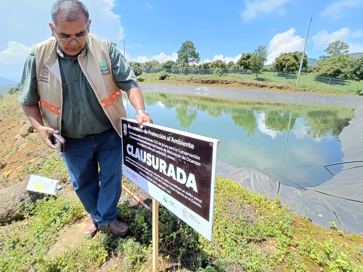 En 2024 Proam remitió más de 330 denuncias por daños ambientales