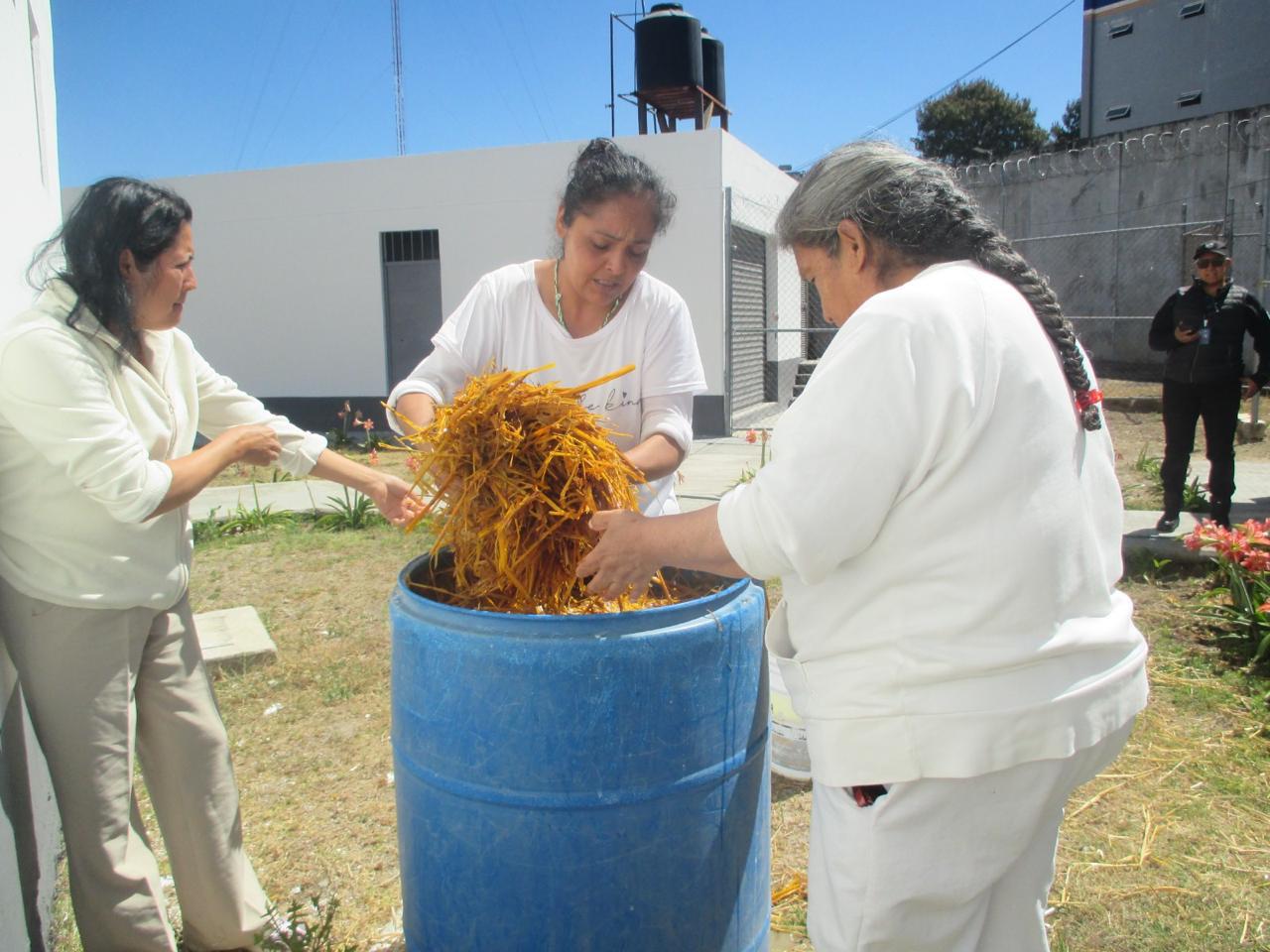 Mujeres privadas de la libertad cultivan setas en Centro Penitenciario de Zitácuaro
