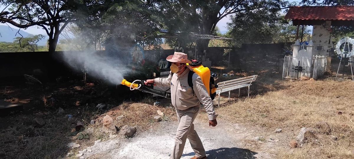Bajan 65 % casos de dengue en Michoacán: SSM