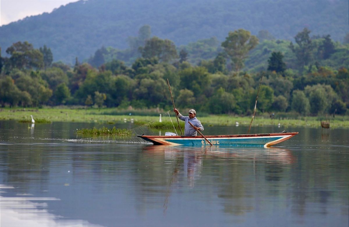 Recuperadas en un año 334 hectáreas de superficie del lago de Pátzcuaro