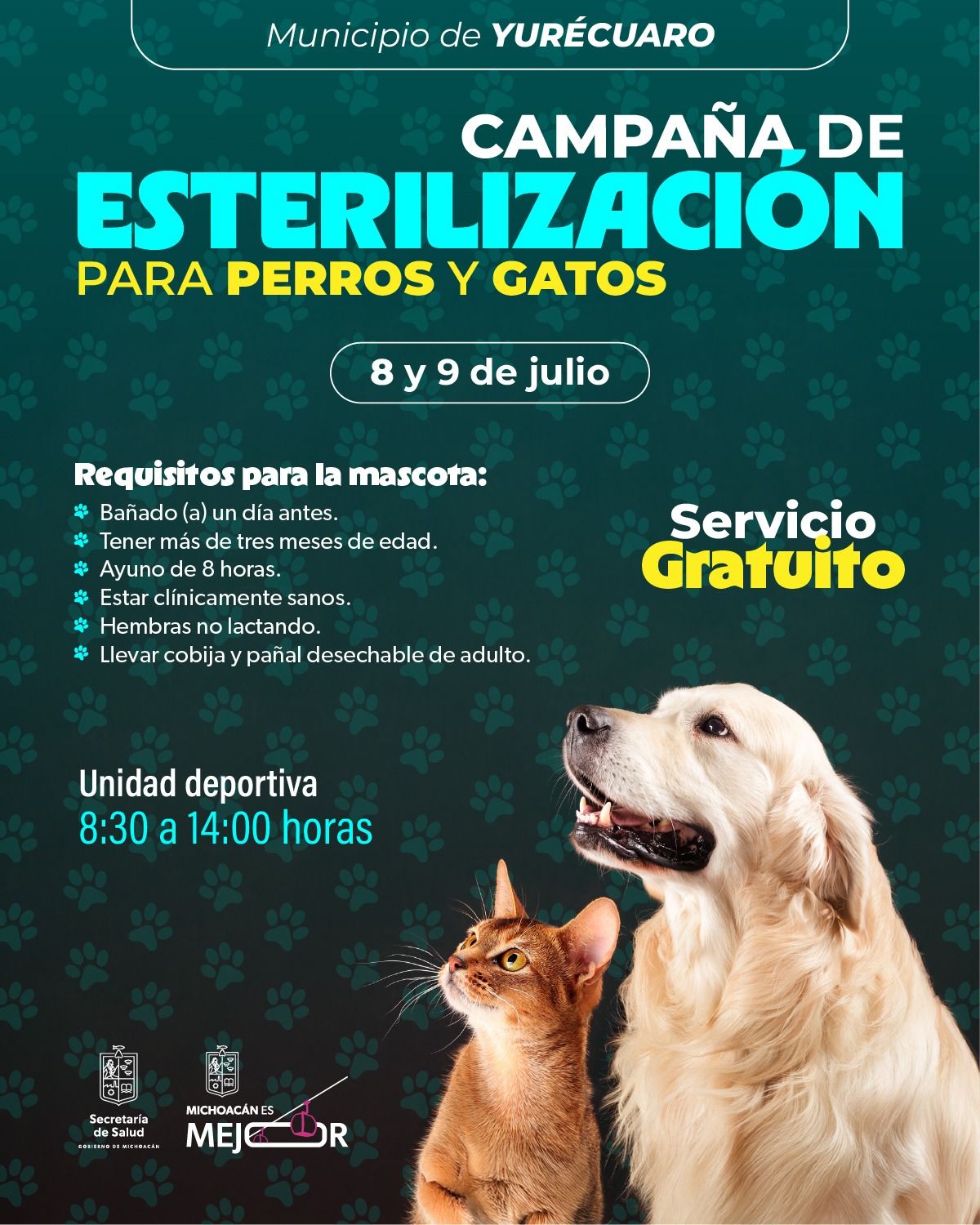 Campaña de esterilización animal gratuita en Yurécuaro y Morelia: SSM