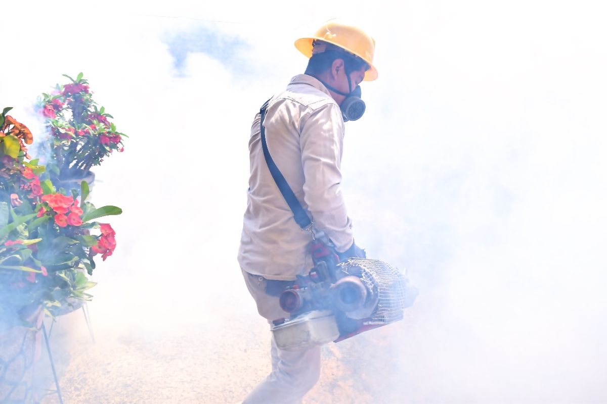 Casos de dengue disminuyen un 76 % por acciones de prevención: SSM