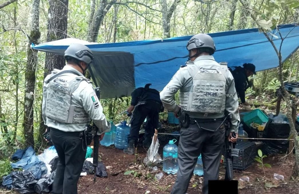 En Michoacán, Guardia Nacional desmantela 6 campamentos clandestinos y asegura vehículos