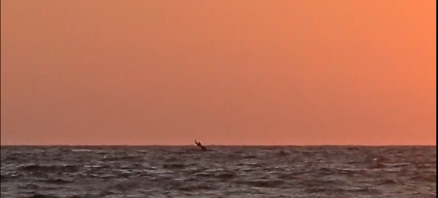 ¡Majestuoso espectáculo natural! Captan a dos ballenas jugando frente a Playa Jardín