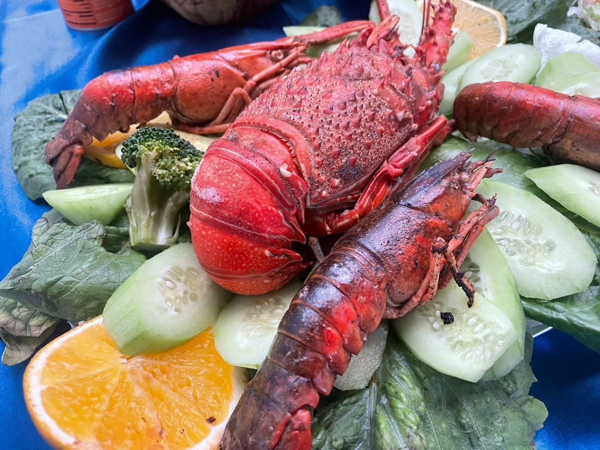 ¿Dónde comprar pescado de calidad y a bajo costo? Compesca inicia Programa de Cuaresma