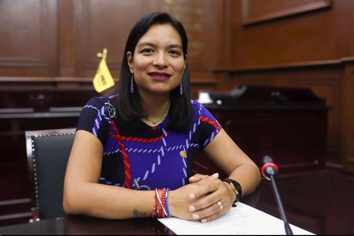 Propone Erendira Isauro reforma para frenar propaganda electoral pagada por terceros en Michoacán