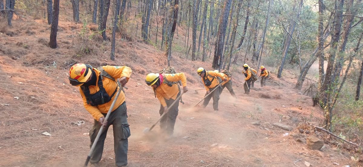 Controlado al 100 % incendio en Nuevo Urecho