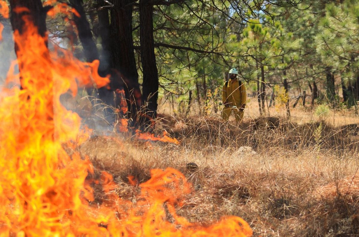 Más de 48 horas del incendio en Nuevo Urecho