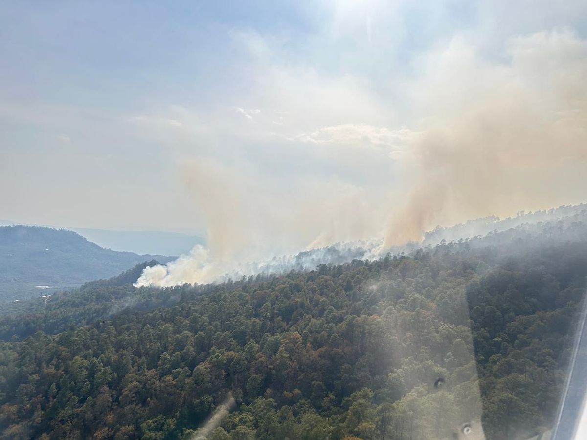 Incendio forestal en Jujucato