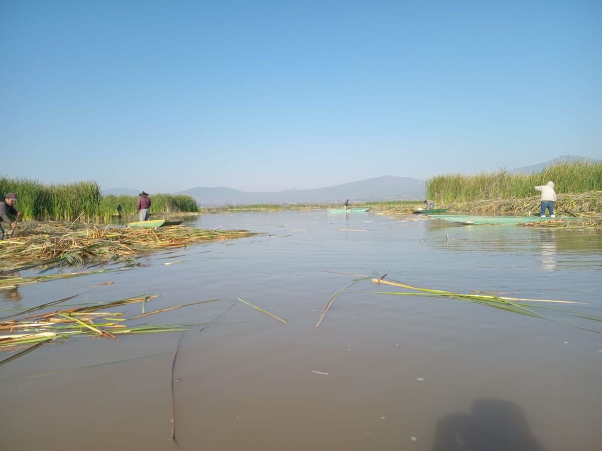 Son 18 manantiales descubiertos en 2026, en el Lago de Pátzcuaro