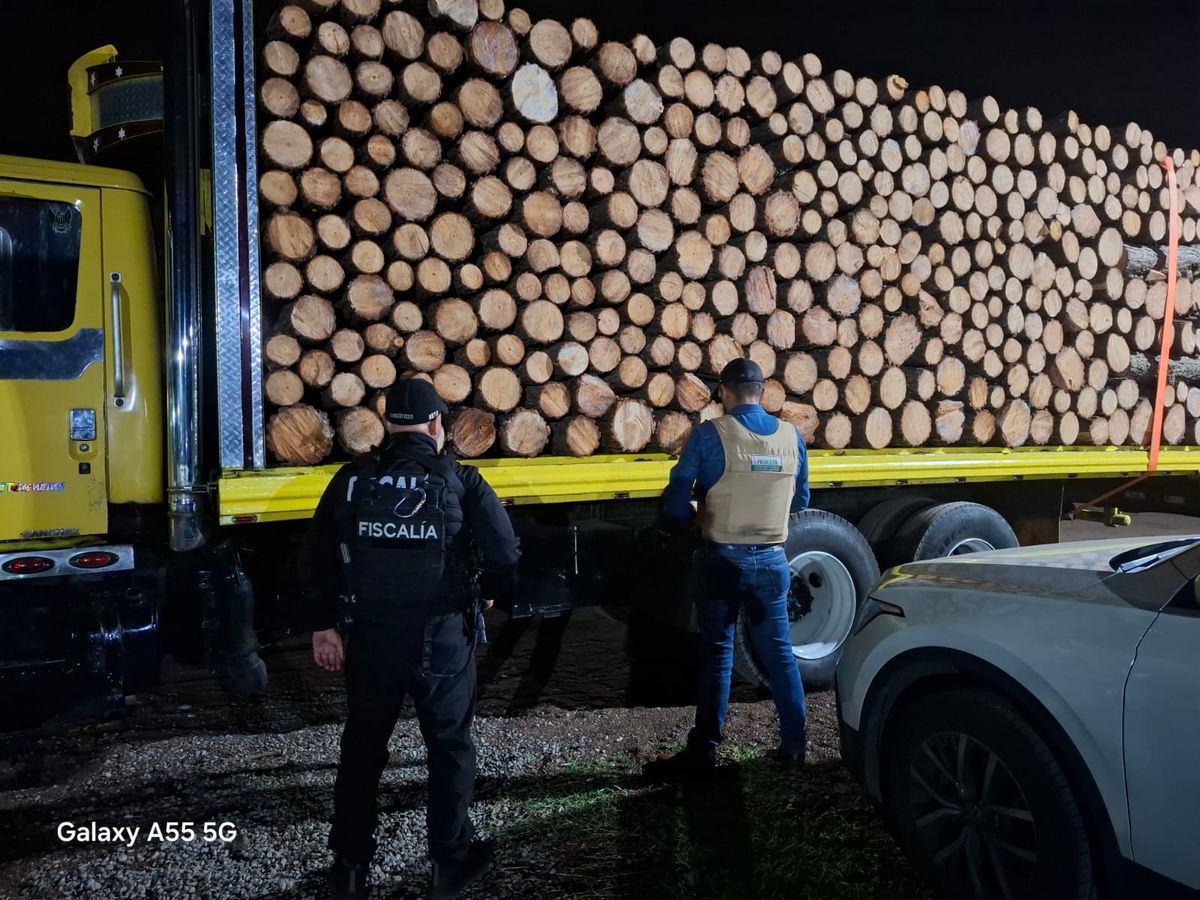 FGE aseguran vehículos que transportaban madera durante operativo coordinado en Pátzcuaro