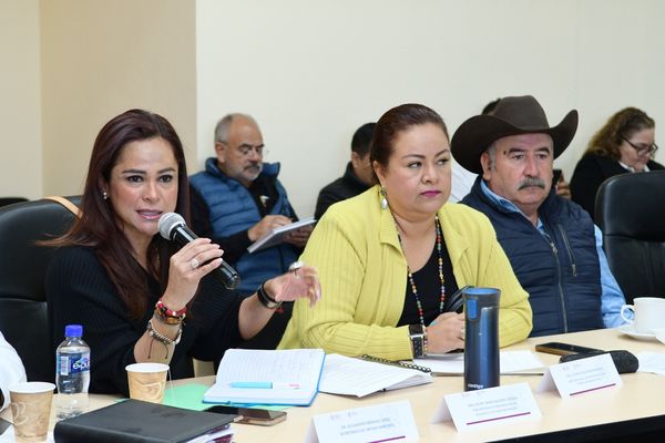 Busca Consejo Michoacano del Mezcal avanzar en la certificación de la bebida