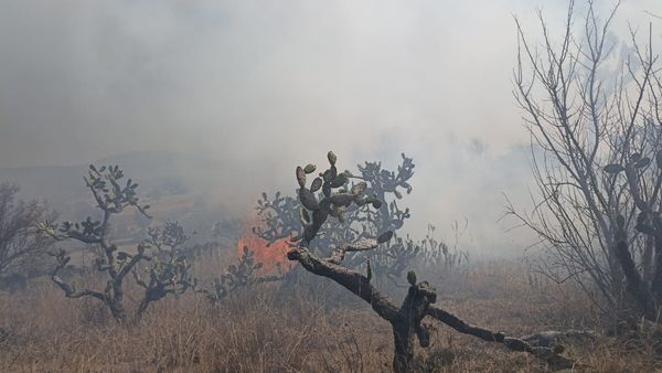 Incendio sin lesionados en Sanabria
