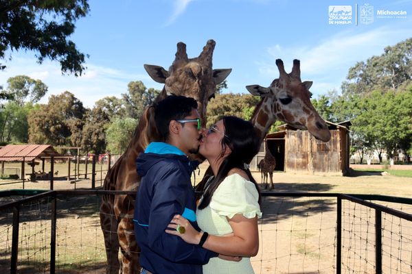 En el Día del Amor, 45 parejas unen sus vidas en el Zoológico de Morelia