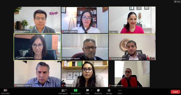 Procedimiento para la conformación de partidos políticos locales en la recta final: IEM