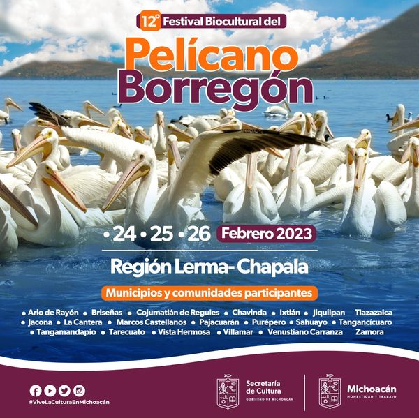 Presentan actividades del 12° Festival del Pelícano Borregón