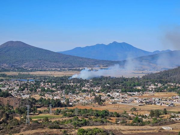 Otro incendio en pastizal