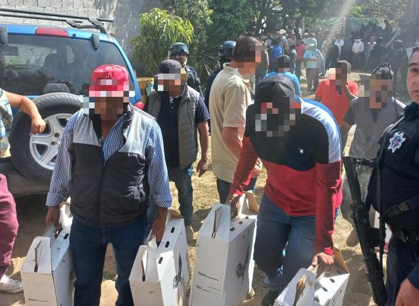 Guardia Civil desactiva palenque clandestino, en Zitácuaro