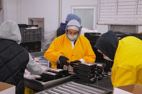 Crece empleo para mujeres en Michoacán por arriba del de hombres: Sedeco