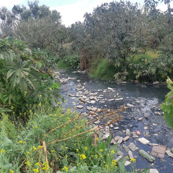 El Río Guani, de río a tiradero de Pátzcuaro