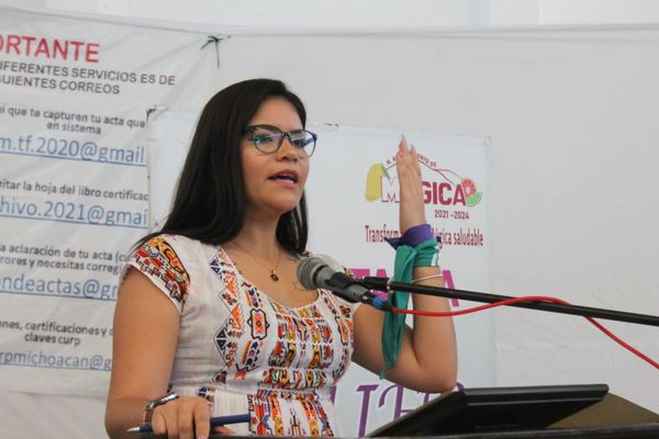 Sancionar a deudores alimentarios, un paso a favor de las mujeres: Seimujer