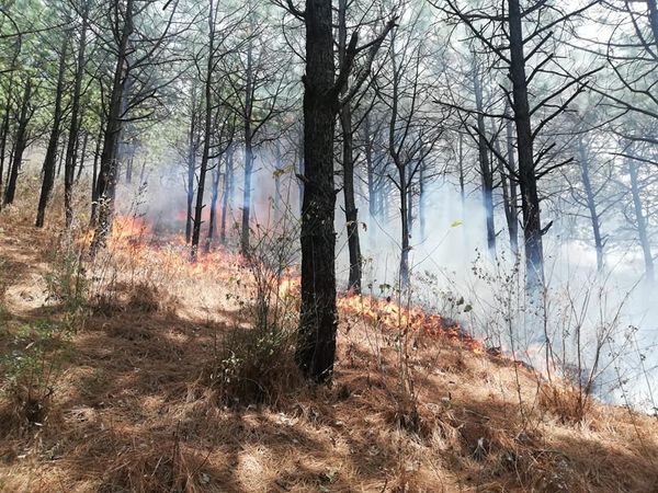 Sigue la temporada de incendios