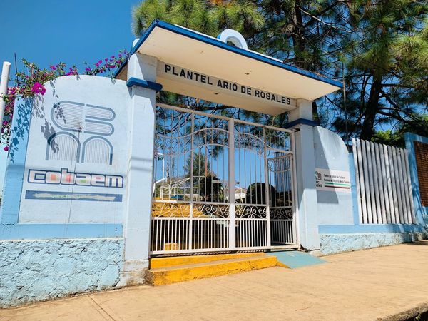 Reingeniería financiera garantizará permanencia del Cobaem
