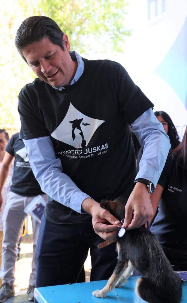 Habrá Registro Civil de Mascotas en Morelia