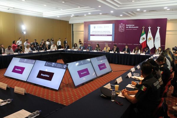 Por vencer, plazo para que municipios con Alerta de Violencia Género accedan a 15 mdp del Fortapaz: Seimujer