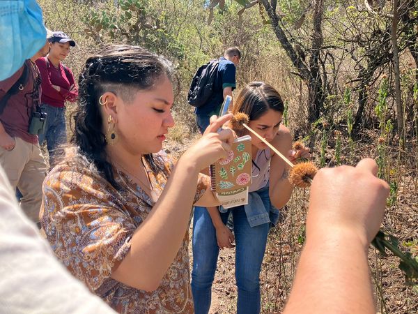 Invita Secma a participar en el Reto NaturaLista Urbano 2023