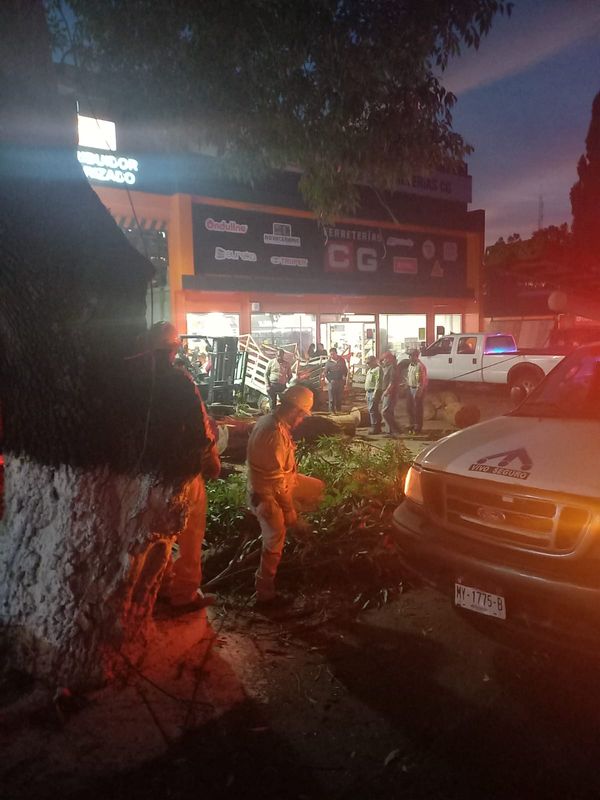 Árbol cae sobre vehículo en Pátzcuaro