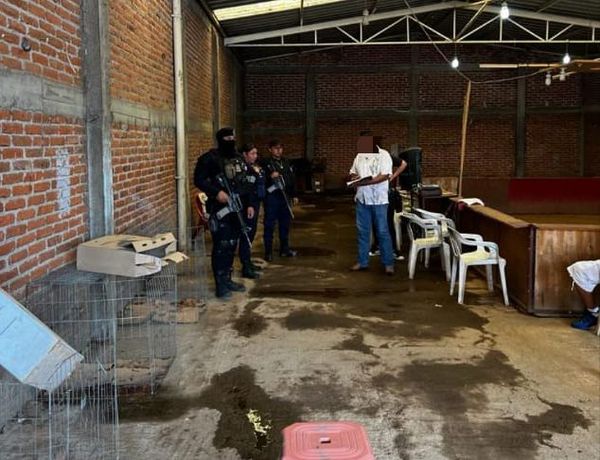En Zacapu: Guardia Civil desactiva palenque clandestino